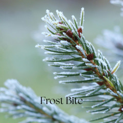 Frost Bite