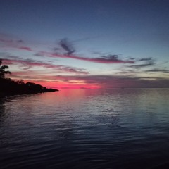 Mi Save Wari Turu | reggae cover ✌🏿