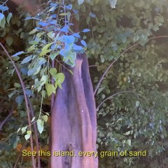 The Road Ahead NDP 2021 Remix - GIN.GIRL x DSML