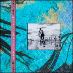 02 - No Meio Do Caminho Tinha Um Cracudo - AYRES DBX • Smoke Trees