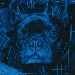 PONCE – Live at 12 AM