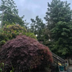 WarKnocking & LuhZano - Problem