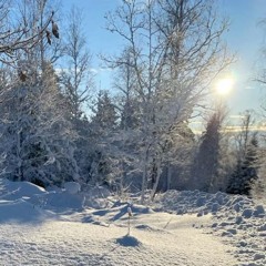 fell in love! (prod. johnnyfriend)