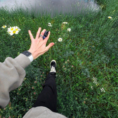 Defender (unreleased)