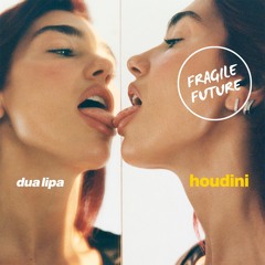 Dua Lipa - Houdini (Fragile Future vs Alex Gewer Mashup)