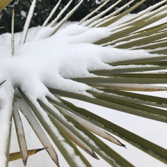 soupe de vermicelle.mp3