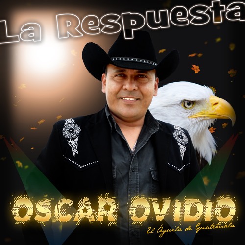 La Pedrada (BANDA NORTEÑO)