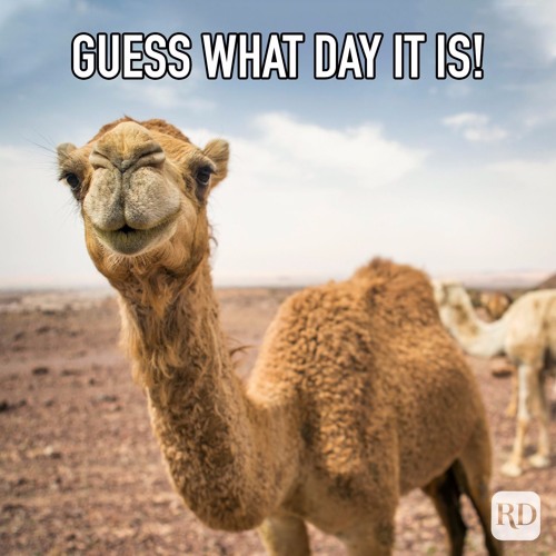 Humpday Random Hour 22.12.21