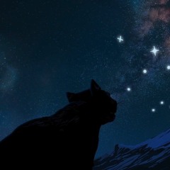 Music tracks, songs, playlists tagged Vol. 13 on SoundCloud