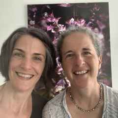 Die Heilkraft der Pflanzen