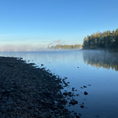 You manifested this.