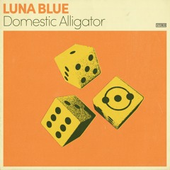 Domestic Alligator - Luna Blue