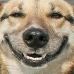 I Cant Come Back All the Way