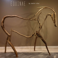 Equinae
