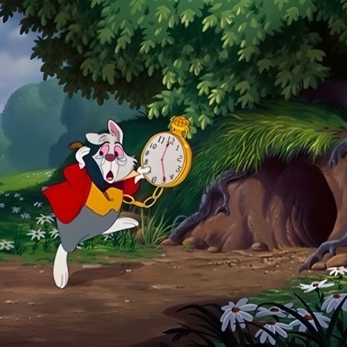 MINCHAE  in WonderLand