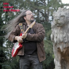 Like A Phoenix - John Goldrust