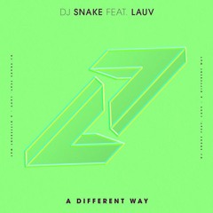 DJ Snake & LAUV - A Different Way (  Louebeatz Edit )