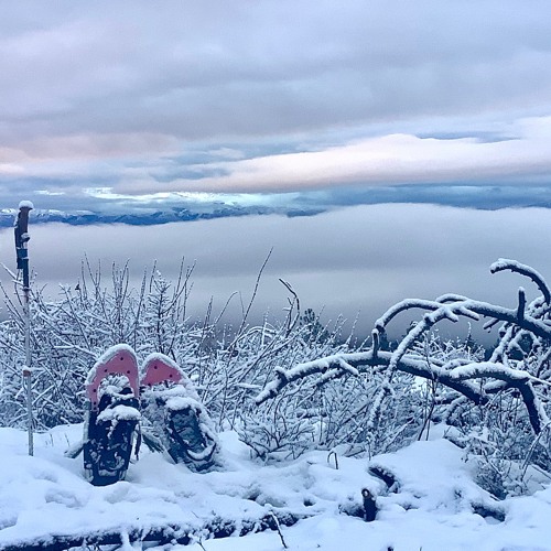 FIELDNOTES:—I report on snowpack, jetstream & rain-on-top-of-snow I.21.2024