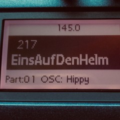 EinsAufDenHelm