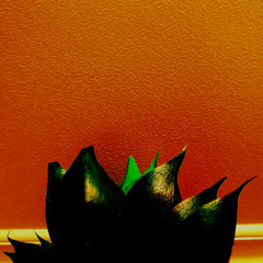 Souls four higher