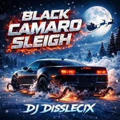 Black Camaro Sleigh