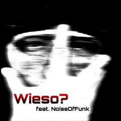 Wieso? (Mittelpunkt) - Motion feat. NoiseOfFunk