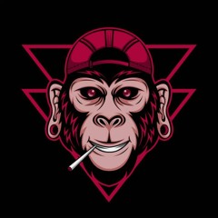 HARD MONKEY - GURILAIS