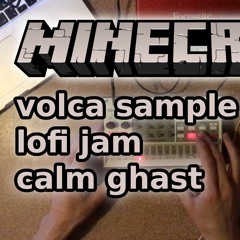 🦋 Lingus Schmetter — LoFi beats Minecraft calm theme jam