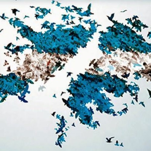 Malvinas Argentinas By Rana Sg