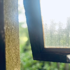 Down by The Riverside