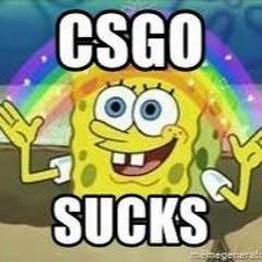 CSGO SUCKS