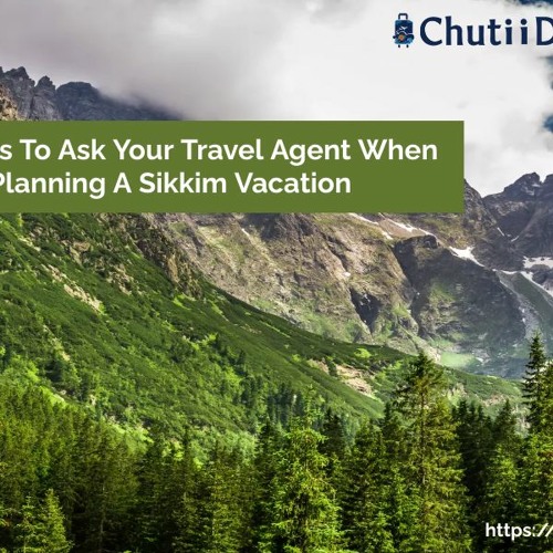 Stream Questions To Ask Your Travel Agent When You Are Planning A