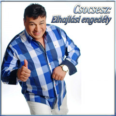 Elhajlási engedély (Mámoros éjszakák)