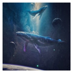Shammael - Whales In Space