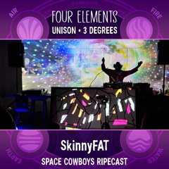 DJ SkinnyFAT Live at Four Elements Campout RIPEcast