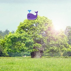 The Far-a-whale Tree
