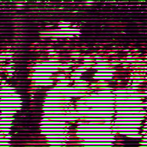 Nooseclub