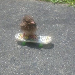 excederin for breakfast