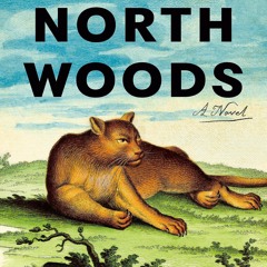 Free read North Woods: A Novel