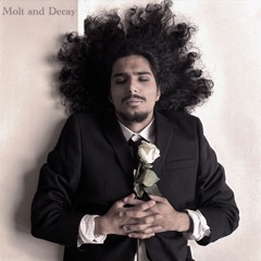 Molt and Decay (Single)