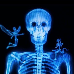 Glo Sito ~ Did It For My Skelly! (BABA! Song Wars)