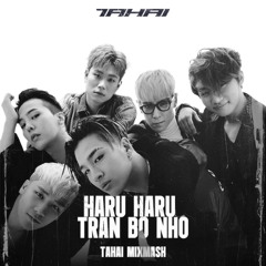 HARU HARU - TRAN BO NHO (TAHAI MIXMASH TIKTOK VERSION)