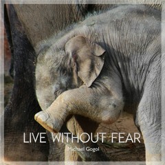Live Without Fear - Michael Gogol