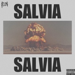 SALVIA