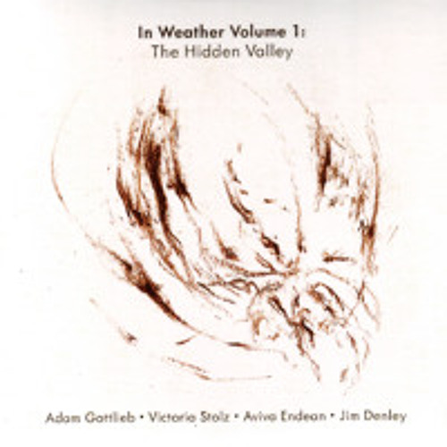 Streaming - In Weather vol 1 - Jim Denley, Aviva Endean, Adam Gottlieb, Victoria Stolz