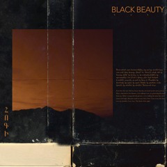 HOKI - Black Beauty