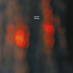 TOKEN137 - Nørbak - Chuva