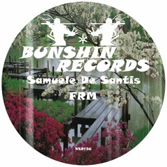 Samuele De Santis - FRM (FREE DOWNLOAD)