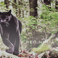 The Panther