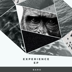 Experience